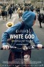 White God – Sinfonia per Hagen