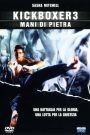 Kickboxer 3 – Mani di pietra