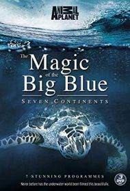 The Magic of The Big Blue