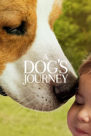 A Dog’s Journey